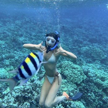 Calypso Charters - It's of pretty fish - Snorkeling Near Me - Wailuku, Hawaii Calypso Charters - It's of pretty fish - Snorkeling Near Me - Wailuku, Hawaii