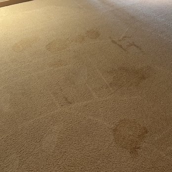 Don's Carpet Cleaning - All photos are of the new stains that showed up AFTER carpets had been cleaned - Carpet Cleaning Near Me Don's Carpet Cleaning - All photos are of the new stains that showed up AFTER carpets had been cleaned - Carpet Cleaning Near Me