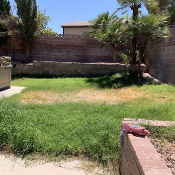 Jr's Lawn Maintenance - Backyard Before - Landscaping Near Me - Henderson, Nevada