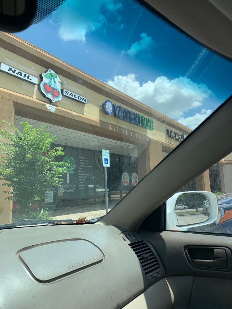 WATER TREE Updated October 2024 19 Photos & 12 Reviews 16300