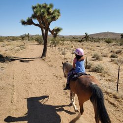 Blue Barn Ranch - Equestrian trail