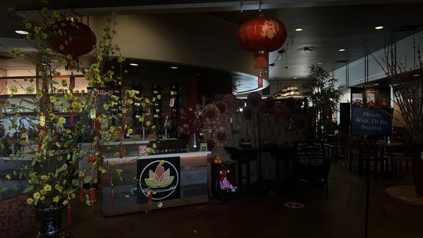 Blossom Vegetarian Restaurant by null