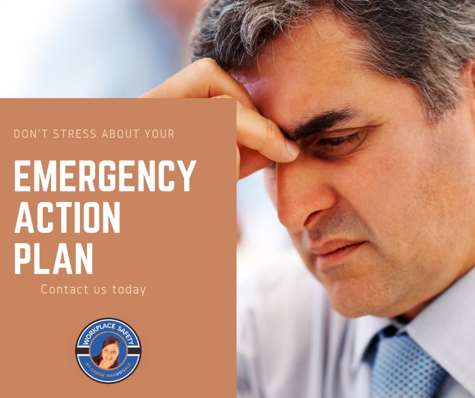 Workplace Safety by Carrie - safety consultant in Bermuda Dunes, CA