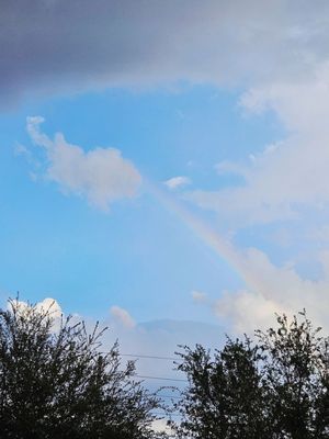 Costco Wholesale by null