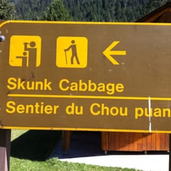 Skunk Cabbage Boardwalk