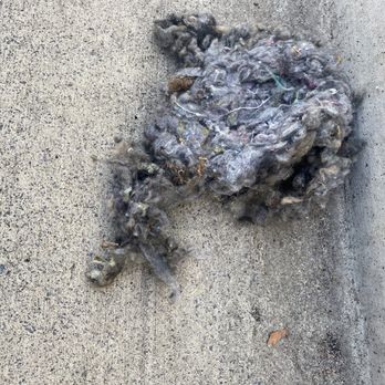 Mark Kia - Rat nest from inside my car. - Car Dealers Near Me - Scottsdale, Arizona