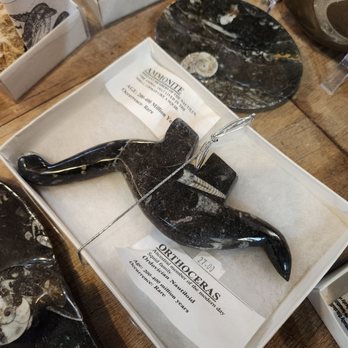 Blue Nugget - Dinosaur carved out of real fossils. - Jewelry Near Me - Apache Junction, Arizona