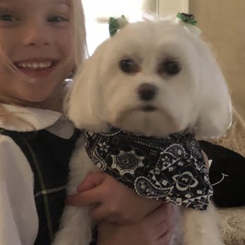 Just For Pause - Look how spooky Snow White looks thanks to Phyllis. We love and appreciate you - Holistic Animal Care Near Me - Lyndhurst, New Jersey Just For Pause - Look how spooky Snow White looks thanks to Phyllis. We love and appreciate you - Holistic Animal Care Near Me - Lyndhurst, New Jersey