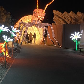 Zoo Lights - Festivals Near Me - Oakland, California