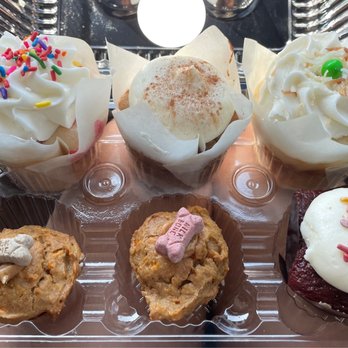 Gold Mine Cupcakes - Cupcakes Near Me - Golden, Colorado