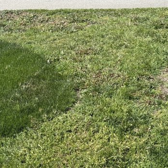 Jose's Lawn Services - Tree Services Near Me