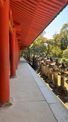 Kasugataisha Shrine by null