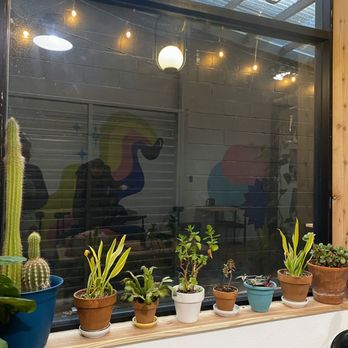 Kainos Coffee - Cute plants & funky mural featured in reflection haha - Coffee & Tea Near Me - Portland, Oregon Kainos Coffee - Cute plants & funky mural featured in reflection haha - Coffee & Tea Near Me - Portland, Oregon