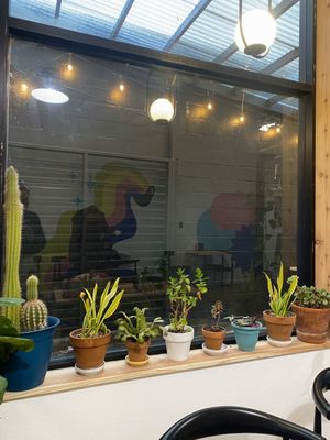 Kainos Coffee by null