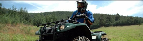 Fox Hollow Lodge by null