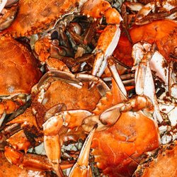 Crab & Claw Seafood - Freshly steamed and seasoned