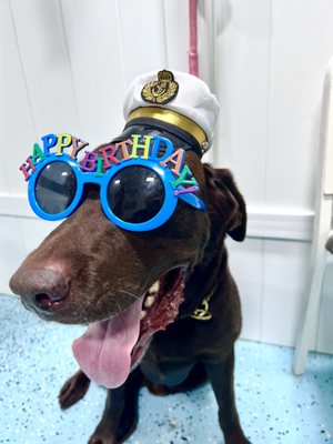 City Bark Miami by null