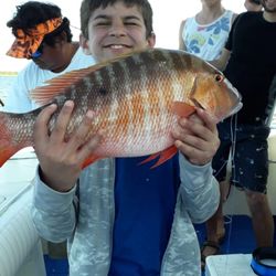 Wasabi Loco Sportfishing Adventures