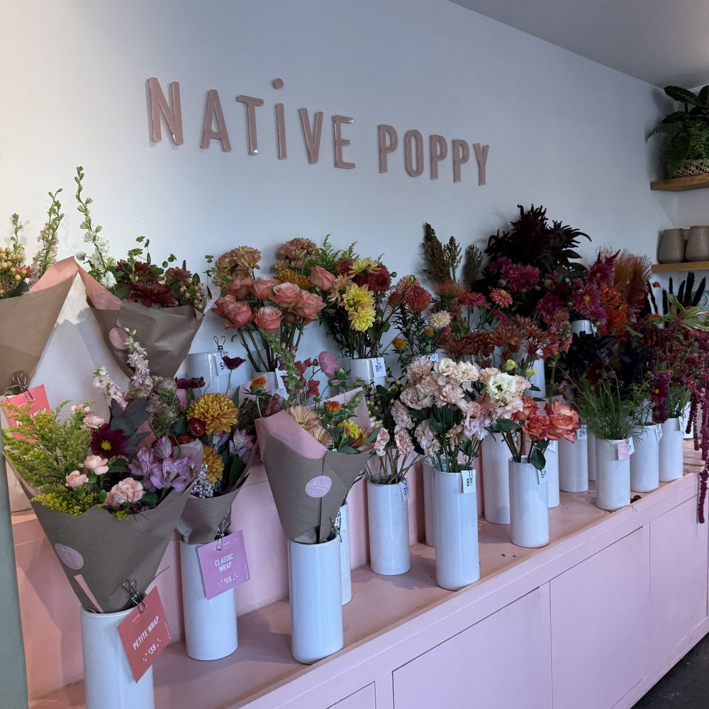 Native Poppy - Florists Near Me - San Diego, California Native Poppy - Florists Near Me - San Diego, California