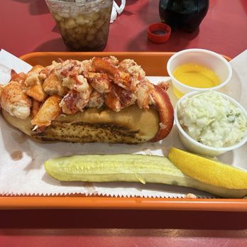 Magic Lobster Roll Co - Naples, Vanderbilt Shoppes - Sandwiches Near Me - Naples, Florida Magic Lobster Roll Co - Naples, Vanderbilt Shoppes - Sandwiches Near Me - Naples, Florida