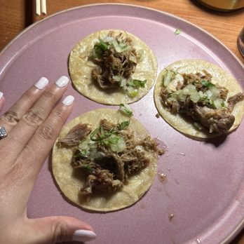 Selva Rosa - Carnitas tacos (AYCE, hand for scale) - Latin American Near Me - Maitland, Florida