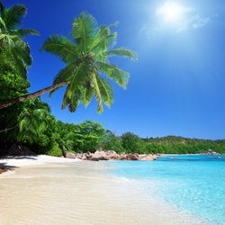 Palm Beach Reiki - Sam Redha is bringing the Palm Beach Reiki experience to the NY, NJ, PA tri-state area!