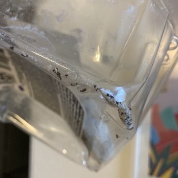 Walmart Supercenter - Dead ants - Department Stores Near Me - Destin, Florida