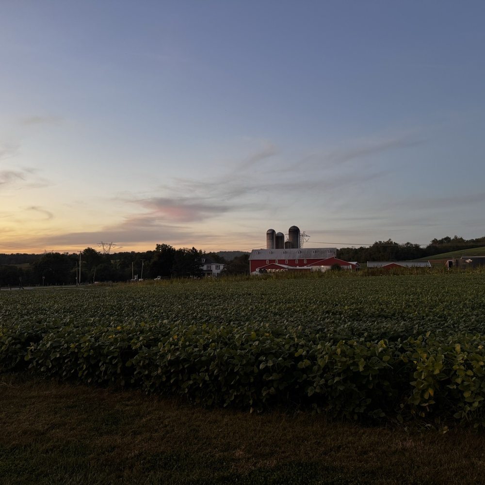 Fox Meadows Creamery - Ice Cream & Frozen Yogurt Near Me - Ephrata, Pennsylvania Fox Meadows Creamery - Ice Cream & Frozen Yogurt Near Me - Ephrata, Pennsylvania