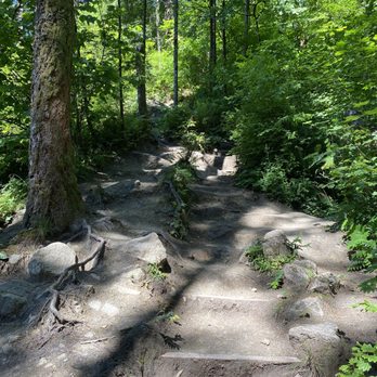 Hamilton Mountain Trail - Pretty steep for a good mile - Hiking Near Me