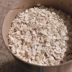 My oatmeal was infested with Gnats.