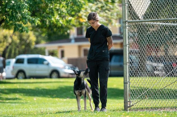 Dog Training - My balanced, relationship based approach to dog training will drastically change the way you and your dog communicate and respect one another.