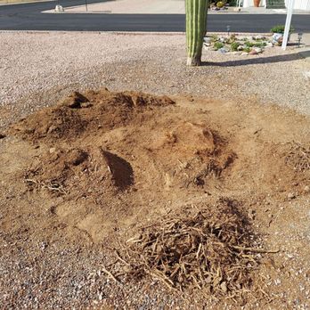 Mike's Tree Service - Working at fixing Mike's cover up job - A mound of disturbed soil with small roots is situated in a gravel yard, near a cactus and a landscaped area with rocks and plants. - Tree Services Near Me