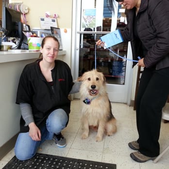 Petco - A day of pampering - Pet Training Near Me - Erie, Pennsylvania