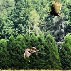 Clackamas River Farm - A great place to bird watch!

https://www.sniffspot.com/to/i83gk