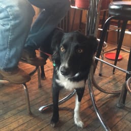 His first time at a bar. His first time at a bar.