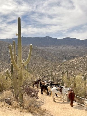 Tanque Verde Ranch by null