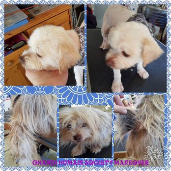 Puff N Fluff Pet Grooming - Pet Groomers Near Me - Ojai, California Puff N Fluff Pet Grooming - Pet Groomers Near Me - Ojai, California