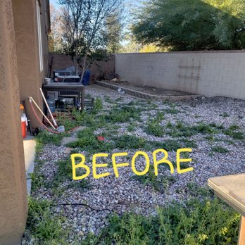 Pristine Green - Tree Services Near Me - Gilbert, Arizona