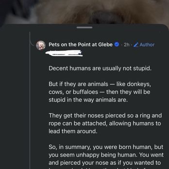 Pets on the Point - Abusive language - Pet Groomers Near Me - Glebe, NSW