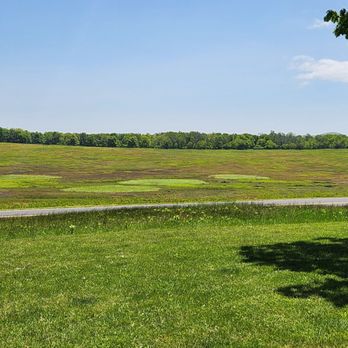 Big Meadows Campground - Big Meadow's Meadow!! No trail but you can hike the game trails. Pretty neat. - Campgrounds Near Me - Luray, Virginia Big Meadows Campground - Big Meadow's Meadow!! No trail but you can hike the game trails. Pretty neat. - Campgrounds Near Me - Luray, Virginia
