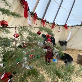 Red-Tail Canyon Farm - Dogs were able to get too close to the cookies. - Venues & Event Spaces Near Me - Leavenworth, Washington Red-Tail Canyon Farm - Dogs were able to get too close to the cookies. - Venues & Event Spaces Near Me - Leavenworth, Washington