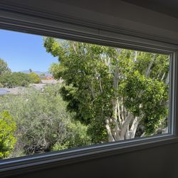 JB's Window Cleaning - Our very large family room window is so perfect!