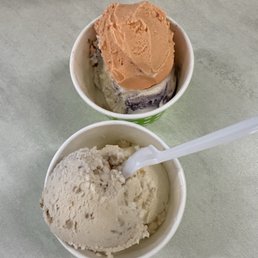 Homemade Ice Creams Homemade Ice Creams