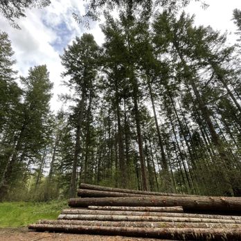 Cascades Camp and Confrence Center - Great forest hike - Campgrounds Near Me - Yelm, Washington