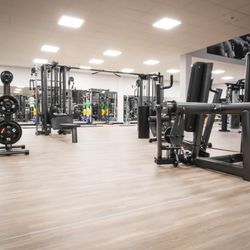 Bechelte sports & med