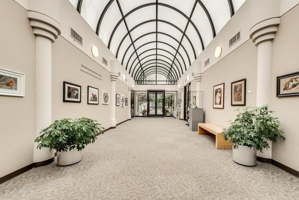 Irving Arts Center by null