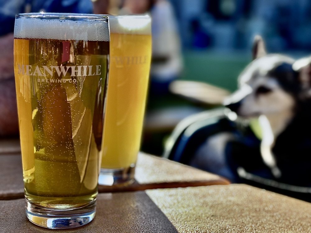 MEANWHILE BREWING - Updated May 2024 - 439 Photos & 263 Reviews - 3901 ...