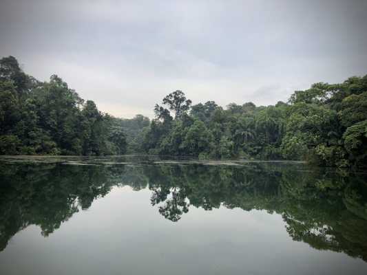 Lower Peirce Reservoir Park by null