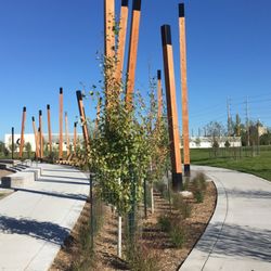Graco Park - Trails and poles.