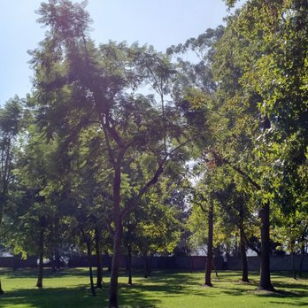 Emerald Isle Park - Pretty greenery. - Parks Near Me - Glendale, California